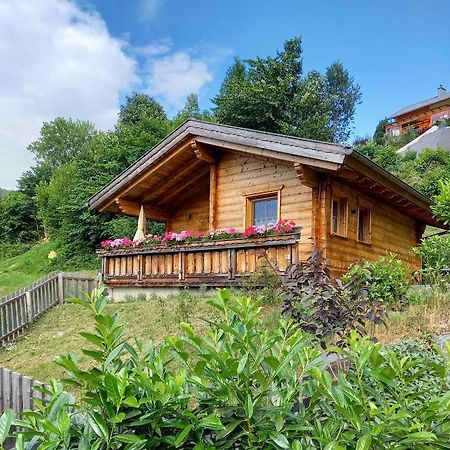 Das Paradieschen Edlitz - Stilvolles Blockhaus Mit Kamin المظهر الخارجي الصورة